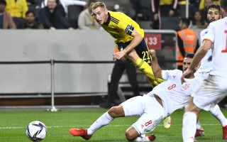 爱体育官方网站-瑞典欧锦赛战役：执着团结勇往直前