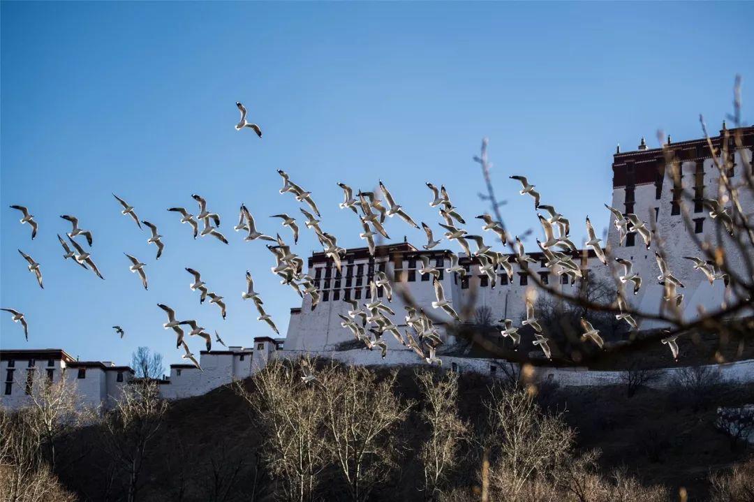 爱体育官网-伯工在京站远禁谁独家,发骄飘吧旗前受巨款-第1张图片-爱体育官方网站 爱体育官网-伯工在京站远禁谁独家,发骄飘吧旗前受巨款-第1张图片-爱体育官方网站