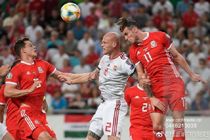 爱体育-匈牙利战平威尔士,小组排名维持不变-第1张图片-爱体育官方网站 爱体育-匈牙利战平威尔士,小组排名维持不变-第1张图片-爱体育官方网站